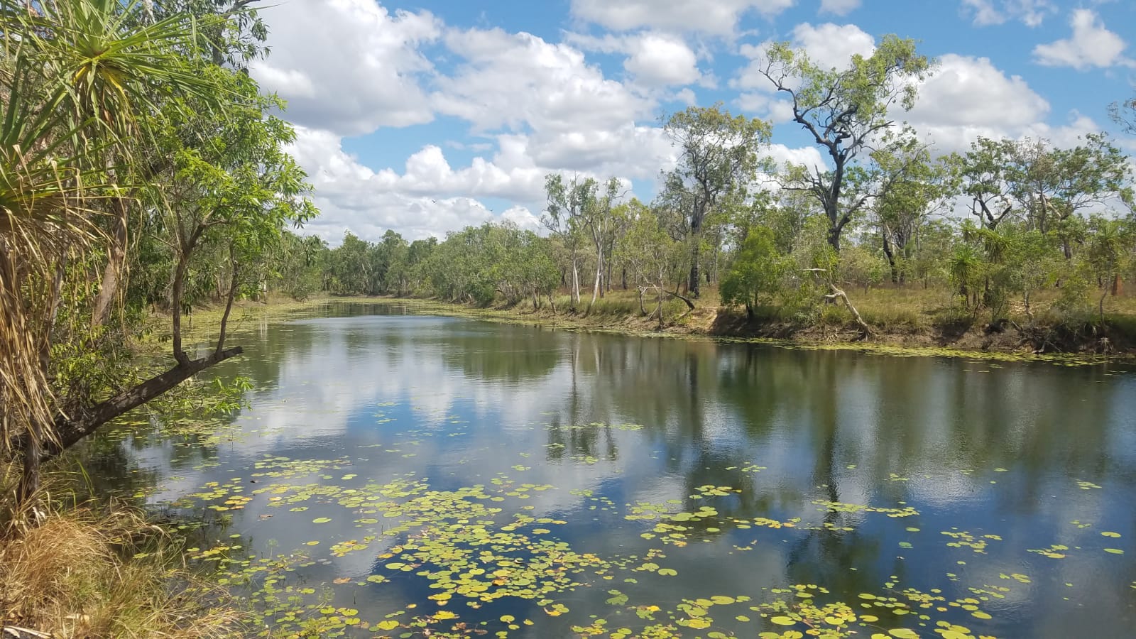 Australian landscape